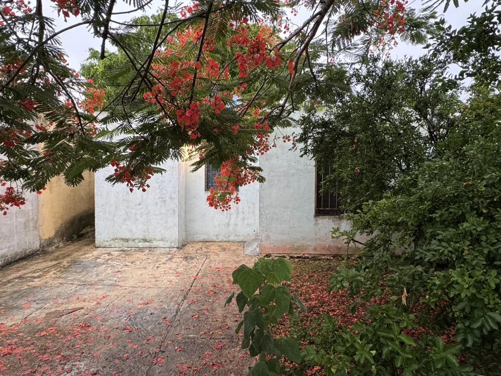 Casa en remodelación en Villas de Oriente Mérida | 160 m²